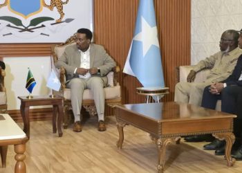 وزيرة الموارد الطبيعية والسياحة في تنزانيا تصل إلى مقديشو لتوقيع اتفاقية مع الصومال