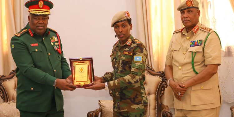 الصومال وتنزانيا تبحثان تعزيز التعاون العسكري بين البلدين