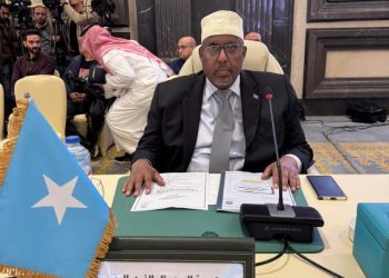 الصومال  يشارك في اجتماع المجلس الوزاري العربي للكهرباء