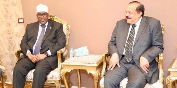 سفير الصومال يلتقي وزير الخارجية السوداني بالقاهرة