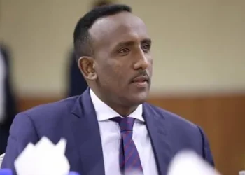 مجلس وزراء الصومال يعين مصطفى طحلو مديرًا جديدًا لوكالة الهجرة والجنسية