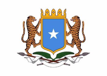 وزارة الخارجية الصومالية تدين الهجوم على المستشفى السعودي في مدينة الفاشر بالسودان