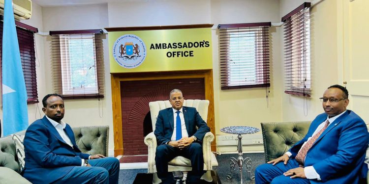 سفارة الصومال لدى جنوب أفريقيا تؤكد على تعزيز وتطوير الخدمات العامة