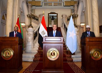بيان مشترك لاجتماع اللجنة الوزارية المشتركة الثلاثية بين مصر وإريتريا والصومال