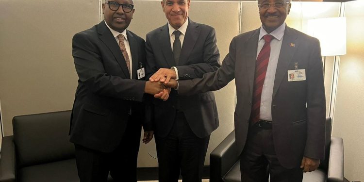 القاهرة تستضيف اجتماعاً ثلاثياً لوزراء خارجية مصر والصومال وإريتريا