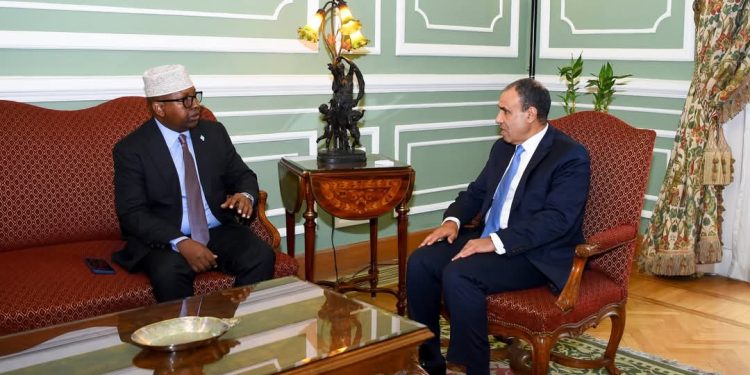 وزيرا خارجية مصر والصومال يتفقان على تعزيز التعاون الأمني وتفعيل بعثة الاتحاد الإفريقي