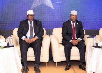 وزير الخارجية والتعاون الدولي يجتمع مع أبناء الجالية الصومالية بالقاهرة