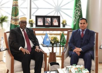 سفير الصومال بالقاهرة يلتقي مندوب السعودية الدائم لدى جامعة الدول العربية