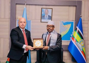 وزير الخارجية الصومالي يستقبل أوراق اعتماد سفيري فلسطين وتايلاند