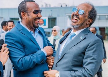 ملاحظات حول زيارة الرئيس الصومالي إلى إثيوبيا وتقلبات القرن الإفريقي
