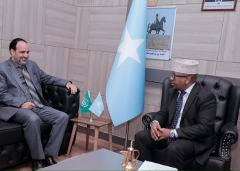 الصومال يعزز شراكاته العربية والإقليمية استعدادًا للاستحقاقات المقبلة