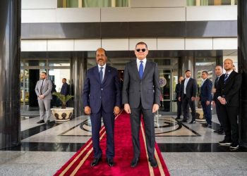 فيديو.. استقبال رسمي للرئيس الصومالي في ليبيا