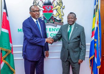 الصومال وكينيا يعززان التعاون في مجال حماية البيئة