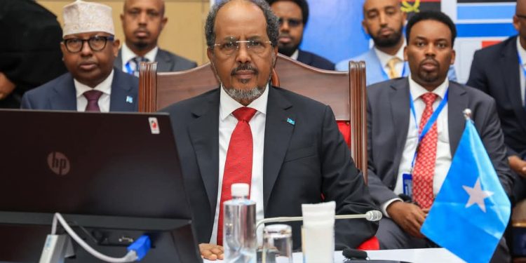 قمة إفريقية في تنزانيا لبحث وقف إطلاق النار في الكونغو الديمقراطية.. والرئيس الصومالي يدعو إلى حل سلمي