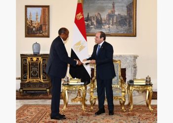 السيسي يبحث مع وزير خارجية جيبوتي تعزيز التعاون وقضايا القرن الأفريقي والبحر الأحمر