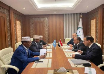 وزير الخارجية المصري يؤكد حرص بلاده الدائم على دعم الاستقرار والأمن في الصومال