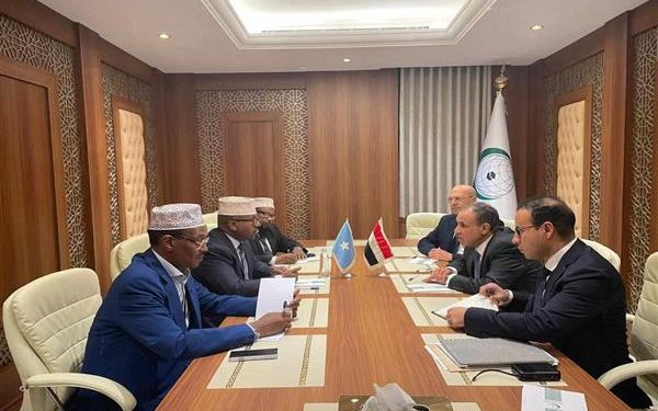 وزير الخارجية المصري يؤكد حرص بلاده الدائم على دعم الاستقرار والأمن في الصومال