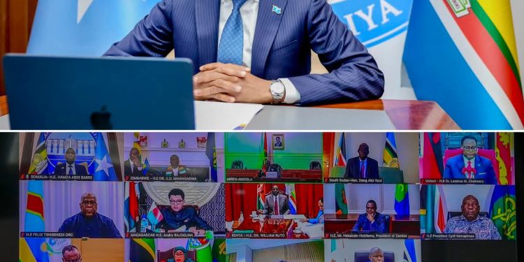 رئيس وزراء الصومال يدعو الاتحاد الأفريقي والأمم المتحدة إلى إيجاد حل للأزمة في الكونغو الديمقراطية