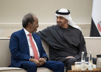 رئيس الصومال يبحث تعزيز العلاقات الثنائية مع نظيره الإماراتي