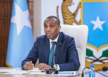 الصومال: ندعم الخطة المصرية بشأن إعادة إعمار قطاع غزة (فيديو)