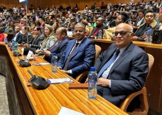سفير الصومال لدى جنوب أفريقيا يشارك في قمة الاستثمار الإفريقي لمجموعة العشرين