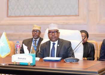 الصومال يؤكد التزامه بالتعاون في قضايا الهجرة خلال مؤتمر وزاري لعملية الخرطوم في القاهرة