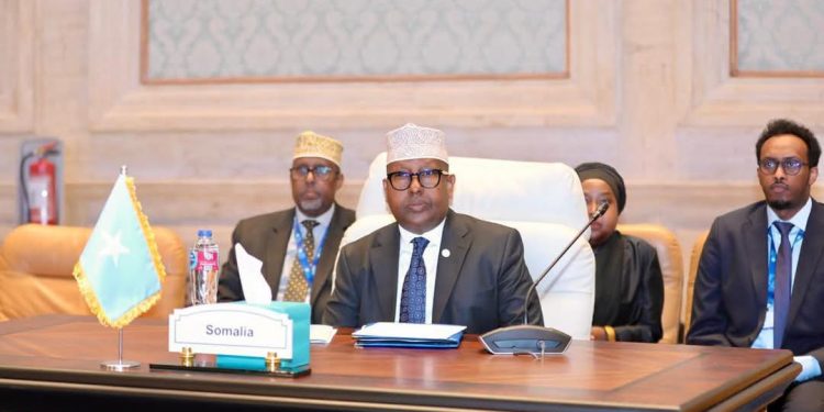 الصومال يؤكد التزامه بالتعاون في قضايا الهجرة خلال مؤتمر وزاري لعملية الخرطوم في القاهرة