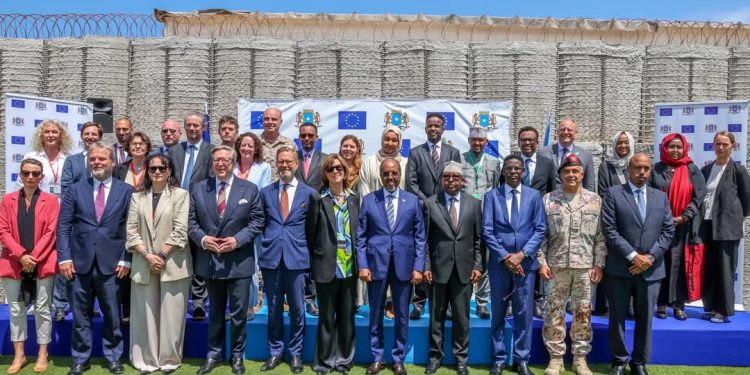 الرئيس الصومالي يناقش مع بعثة الاتحاد الأوروبي تعزيز الشراكة والمشاورات الوطنية