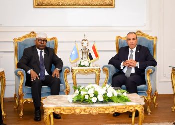 الصومال ومصر نحو شراكة استراتيجية أعمق: فقي وعبد العاطي يبحثان الأمن والتكامل الإقليمي