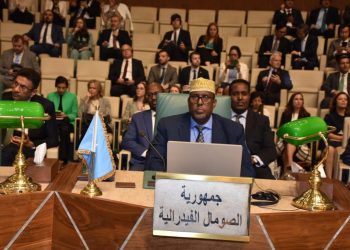 مشاركة صومالية في الدورة 163 لمجلس الجامعة العربية