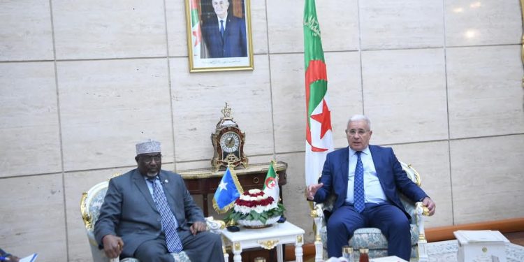 رئيسا البرلمان الصومالي والجزائري يؤكدان أهمية تعزيز الشراكة التشريعية