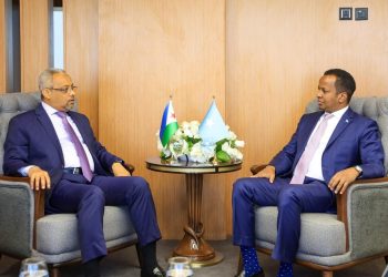 تواصل دبلوماسي استراتيجي: تحركات وزير الخارجية الصومالي في بغداد قبيل القمة