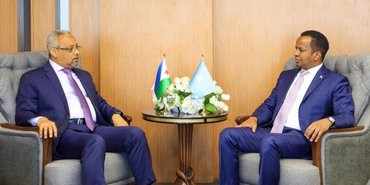 تواصل دبلوماسي استراتيجي: تحركات وزير الخارجية الصومالي في بغداد قبيل القمة