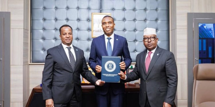 عبدالسلام عبدي علي.. قيادة جديدة للدبلوماسية الصومالية على خطى الكبار