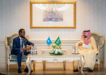 الصومال والسعودية تبحثان تعزيز التعاون في مجال العمل وتنمية المجتمع