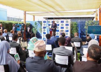 رئيس وزراء الصومال: نسعى إلى انتخابات مباشرة تُجرى في جميع أنحاء البلاد