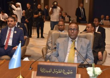 مندوب الصومال بالجامعة العربية يدعو لتضافر الجهود العربية لمواجهة لمواجهة الأزمات وتحقيق التنمية الشاملة
