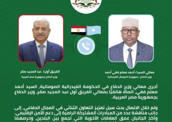 وزيرا الدفاع في الصومال ومصر يبحثان هاتفياً تعزيز التعاون العسكري ودعم الأمن الإقليمي