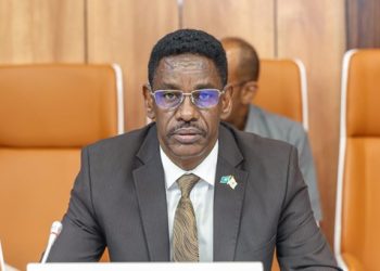 الحكومة الصو مالية تتوعد بمحاسبة مثيري التوتر في عابدواق