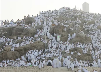 لأول مرة.. اللغة الصومالية تُعتمد ضمن لغات الترجمة الفورية خطبة يوم عرفة