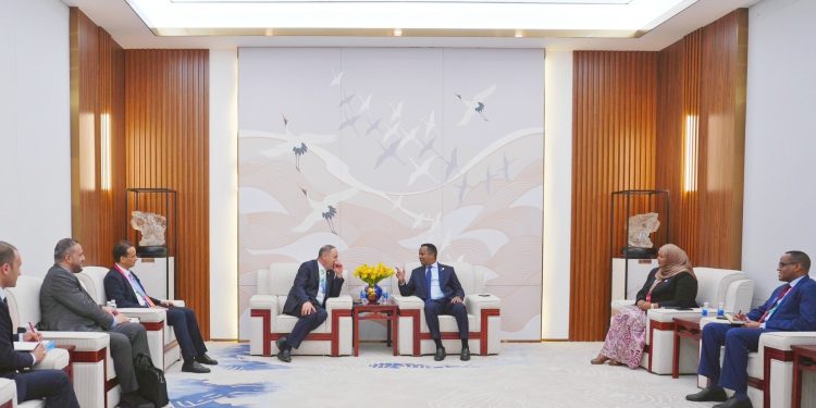 الصومال وليبيا تبحثان تعزيز التعاون الثنائي وتوسيع مجالات الشراكة