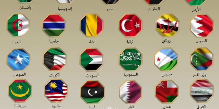 22 دولة إسلامية، من بينها الصومال، تدين العدوان الإسرائيلي على إيران