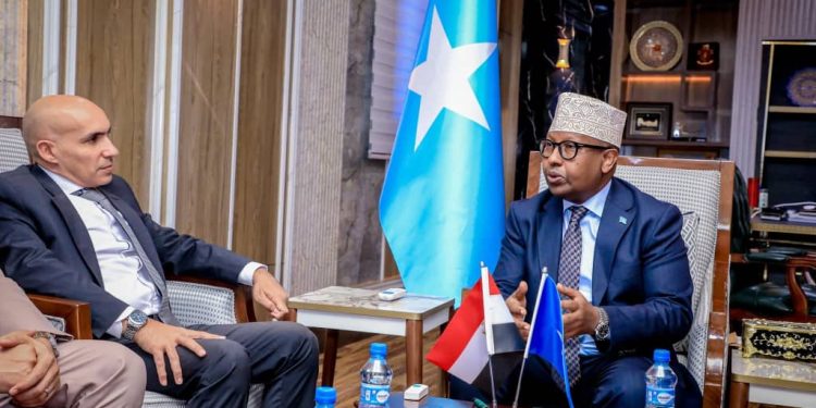 وزير الدفاع الصومالي يستقبل السفير المصري لبحث التعاون العسكري ومحاربة الإرهاب