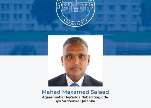 عودة مهد صلاد إلى المشهد الأمني مديرًا لجهاز الاستخبارات