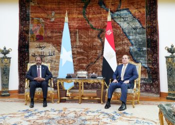 مصر والصومال تتفقان على توسيع التعاون الأمني والعسكري وتفعيل الشراكة الاستراتيجية