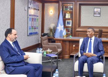 الصومال والجامعة العربية يناقشان مشاريع تنموية وشراكات استراتيجية