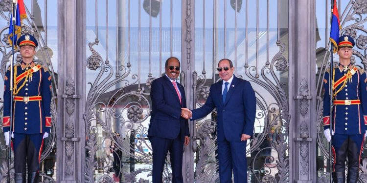 خبير يشرح معاني زيارة الرئيس الصومالي إلى مصر