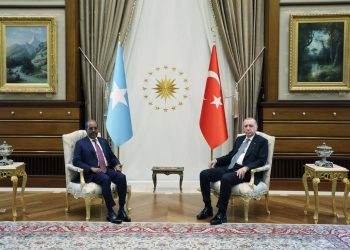 الرئيس أردوغان يستقبل نظيره الصومالي