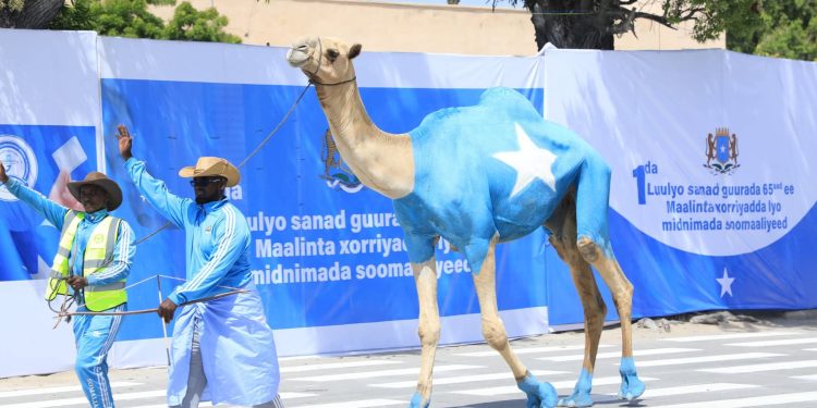 رؤساء وزعماء عرب يهنئون الصومال بذكرى الاستقلال الـ65