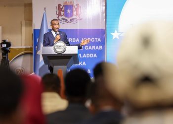 الحكومة الصومالية تؤكد على أهمية دور المغتربين في التنمية والوحدة الوطنية